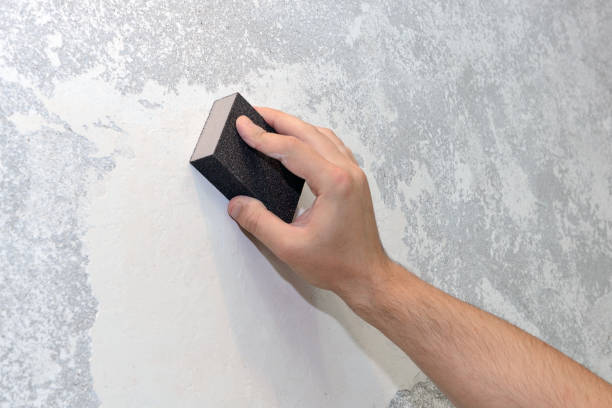 Best Crawl Space Mold Remediation  in Bemiss, GA