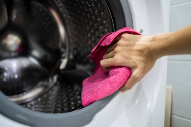 Trusted Bemiss, GA Mold Removal Experts