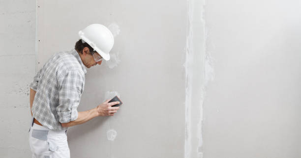 Best Mold Prevention Services  in Bemiss, GA