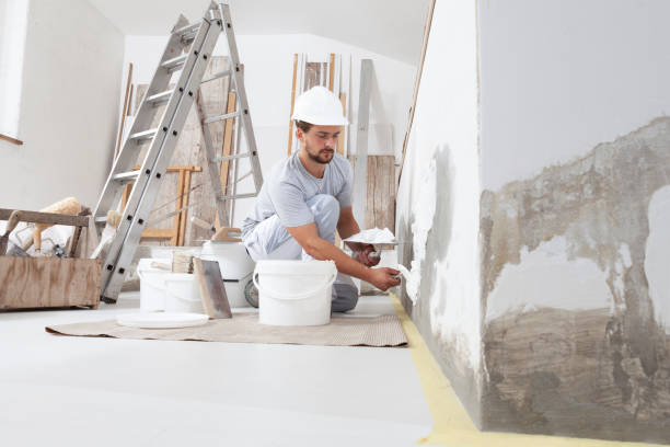 Bemiss, GA Mold Removal Pros