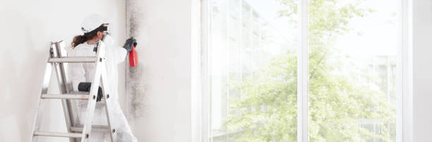Best Mold Odor Removal Services  in Bemiss, GA